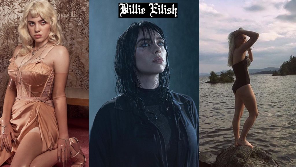 Billie Eilish Hot, Sexy, Bikini Photos of 'Ocean Eyes Singer